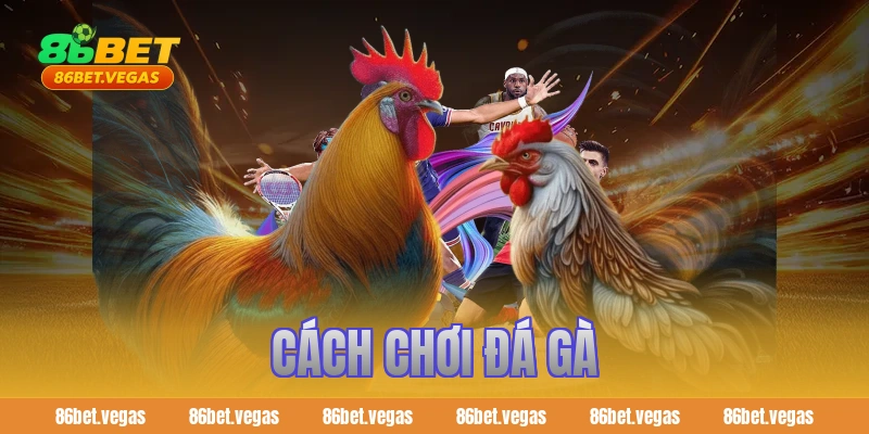 cách chơi đá gà