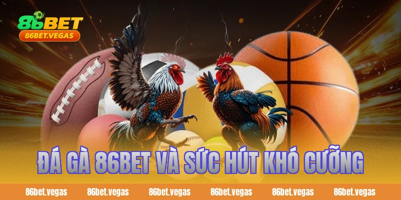 Đá Gà 86bet và sức hút khó cưỡng