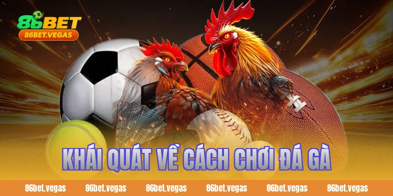 Khái quát về cách chơi đá gà