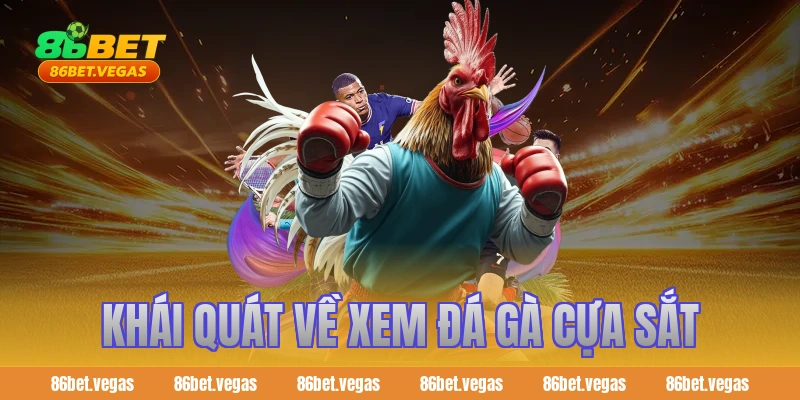 Khái quát về xem đá gà cựa sắt