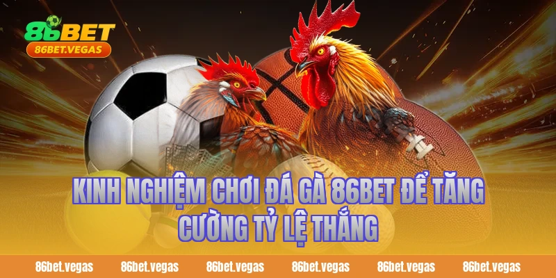 Kinh nghiệm chơi đá gà 86bet để tăng cường tỷ lệ thắng