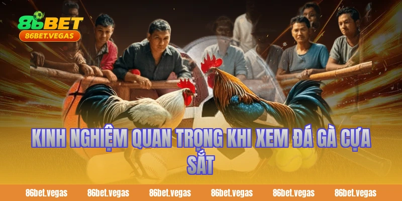 Kinh nghiệm quan trọng khi xem đá gà cựa sắt