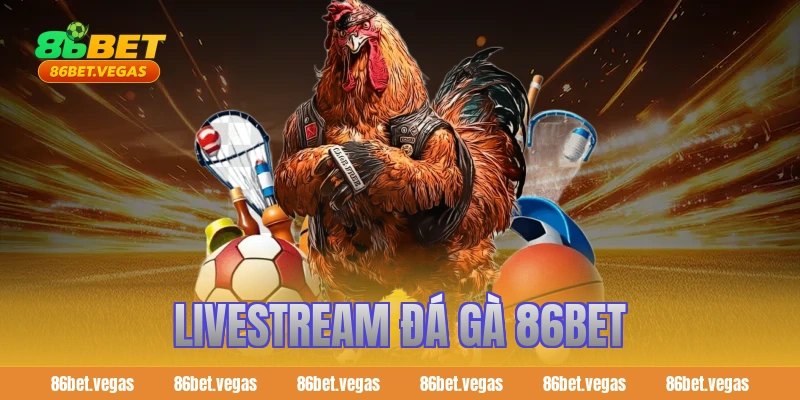 Livestream đá gà 86BET kịch tính và đẳng cấp hàng đầu