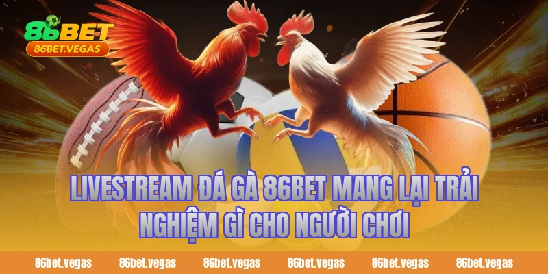 Livestream đá gà 86bet mang lại trải nghiệm gì cho người chơi