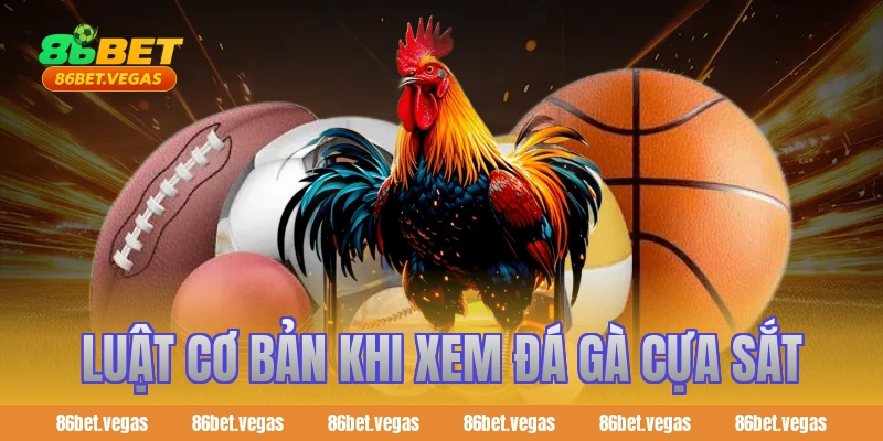 Luật cơ bản khi xem đá gà cựa sắt