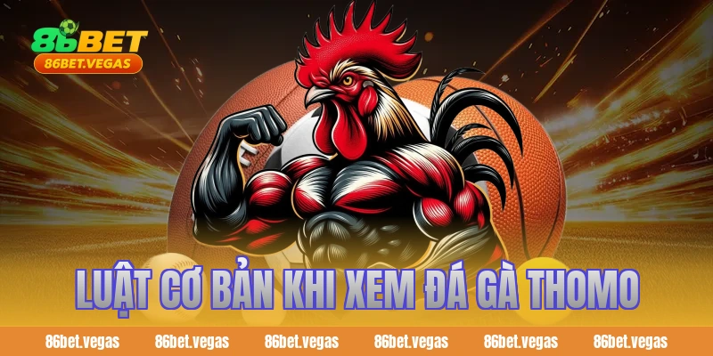 Luật cơ bản khi xem đá gà Thomo