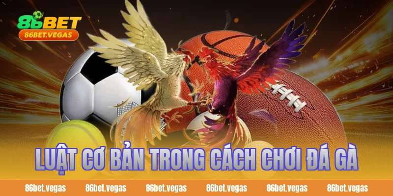 Luật cơ bản trong cách chơi đá gà