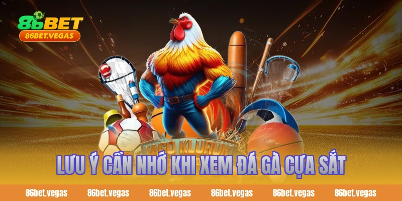Lưu ý cần nhớ khi xem đá gà cựa sắt