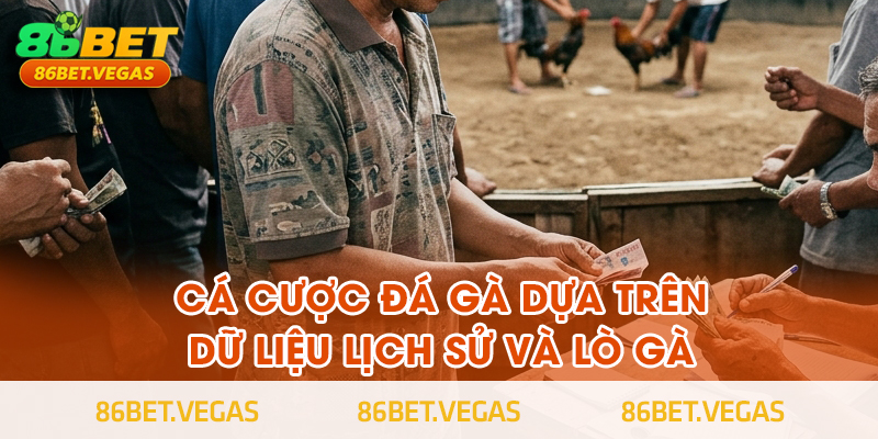 Mẹo cá cược đá gà dựa trên dữ liệu lịch sử và lò gà