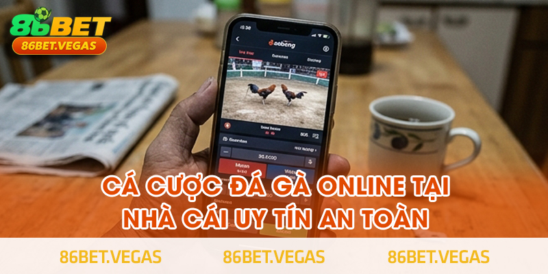 Hướng dẫn cá cược đá gà online tại nhà cái uy tín an toàn