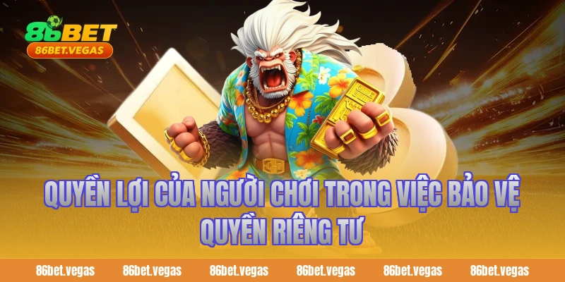 Quyền lợi của người chơi trong việc bảo vệ quyền riêng tư