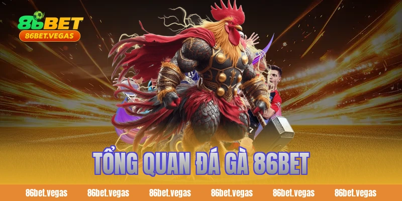 Tổng quan đá gà 86bet