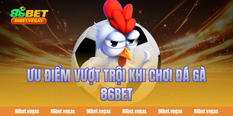 Ưu điểm vượt trội khi chơi Đá Gà 86bet