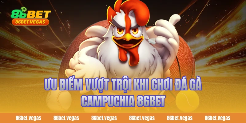 Ưu điểm vượt trội khi chơi đá gà Campuchia 86bet