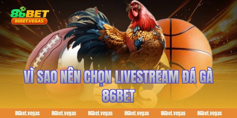 Vì sao nên chọn livestream đá gà 86bet