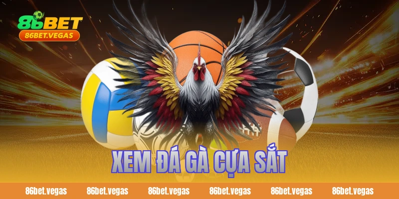 Xem đá gà cựa sắt kịch tính và bí quyết trải nghiệm trọn vẹn
